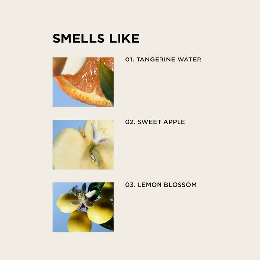 BIRTHDAY SUIT body + hair perfume mist